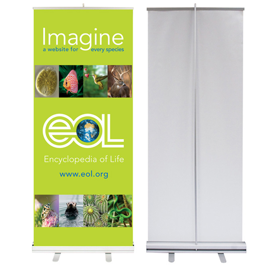 Banner cuốn - Rollup banner