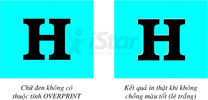 Các kỹ thuật cơ bản trong thiết kế in ấn